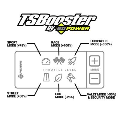 TS Booster V3.0 BMW Adjust On The Fly BD Diesel