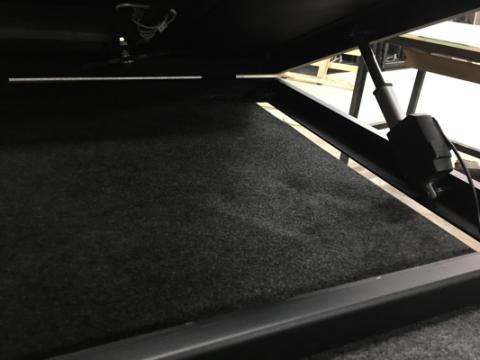 Accuator Power Lift Cargo Ease