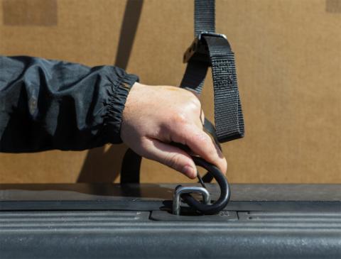 1 Inch x 8' Cam-Lock Tie Down with Soft-Tie 2 Pack Bullring