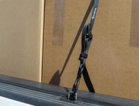 1 Inch x 8' Cam-Lock Tie Down with Soft-Tie 2 Pack Bullring