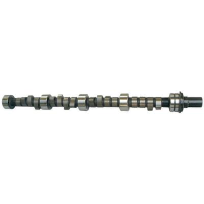 Hydraulic Flat Tappet Camshaft; 1968 - 1980 Buick 350 1800 to 5500 Howards Cams 540731-12