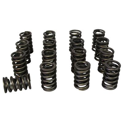 Pacaloy Single with Damper Valve Springs; 1.260 Howards Cams 98220