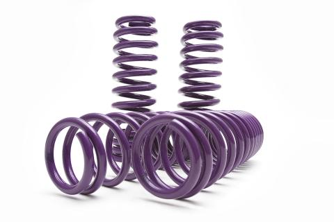 PRO Lowering Springs 08-13 Mitsubishi EVO X D2 Racing