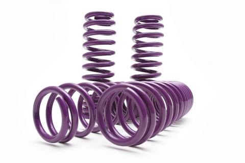 PRO Lowering Springs 1.8F/1.8R D-SP-VO-13 12-18 Volkswagen Jetta D2 Racing