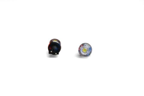 Revive LED Bulb 194 (White) Dapper Lighting