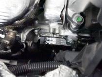 Serpentine Belt 1900mm 6 Rib - GM 3.0L Duramax 2020-2025 LM2 LZ0 Pacific Performance Engineering