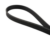 Serpentine Belt - 2011-2023 Ford 5.0/5.2L Mustang 6 Rib A/C Belt 6PK851 Pacific Performance Engineering