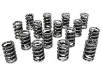Electro Polished Proformance Single with Damper Valve Springs; 1.265 Howards Cams 98215