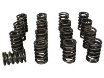 Pacaloy Single with Damper Valve Springs; 1.260 Howards Cams 98220