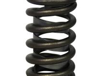 Pacaloy Single with Damper Valve Springs; 1.260 Howards Cams 98220