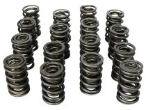 Max Effort Dual with Damper Valve Springs; 1.437 Howards Cams 98431