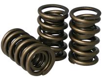 Stock Diameter Performance Dual with Damper Valve Springs; 1.437 Howards Cams 98432