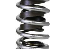 Electro Polished Performance Dual with Damper Valve Springs; 1.437 Howards Cams 98433
