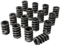Electro Polished Pro - Alloy Dual with Damper Valve Springs; 1.540 Howards Cams 98637