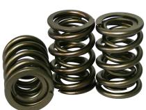 Pro - Alloy Mechanical Roller Dual Valve Springs; 1.550 Howards Cams 98643