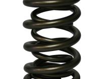 Pro - Alloy Mechanical Roller Dual Valve Springs; 1.550 Howards Cams 98643