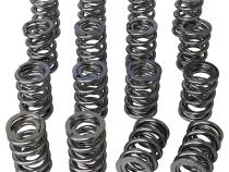 Electro Polished Pro - Alloy Dual Valve Springs; 1.550 Howards Cams 98644