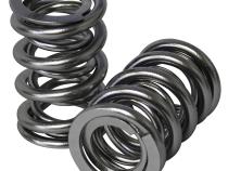 Electro Polished Pro - Alloy Dual Valve Springs; 1.550 Howards Cams 98644