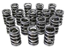 Electro Polished Max Effort Dual with Damper Valve Springs; 1.539 Howards Cams 98650