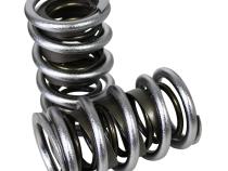Electro Polished Max Effort Dual with Damper Valve Springs; 1.539 Howards Cams 98650