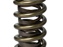 Pro - Alloy Mechanical Roller Dual with Damper Valve Springs; 1.575 Howards Cams 98885