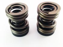 Dodge 94-98 P-Pump 3,000 and 4,000 RPM Governor Spring Kit Dynomite Diesel