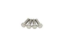 Jeep TJ Door Strap Pins Pair 97-06 Wrangler TJ Polished Silver Kentrol